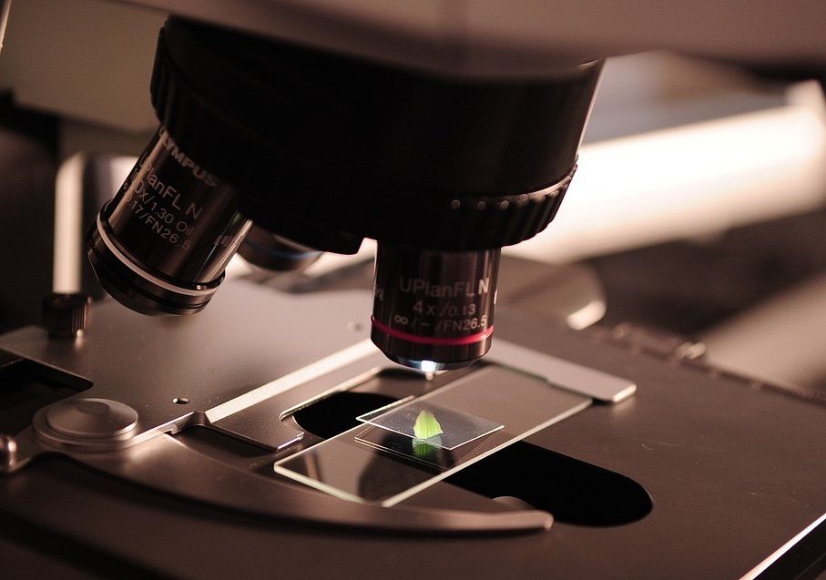 Proste analizy statystyczne na lekcjach biologii w