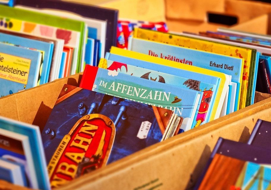 Picturebooki i lapbooki w edukacji polonistycznej