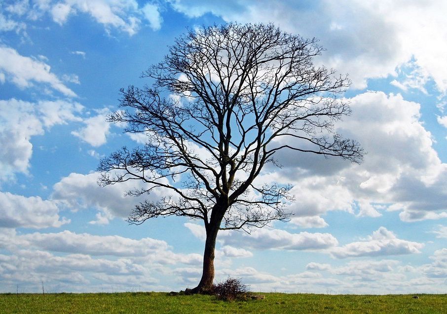 Cztery pory roku z pedagogiką zabawy (Słupsk)