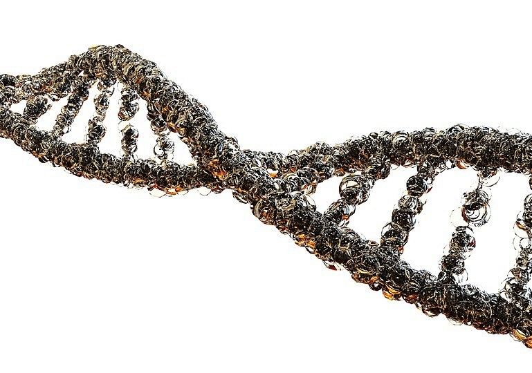 Biologia w klasie VIII. Jak uczyć genetyki?