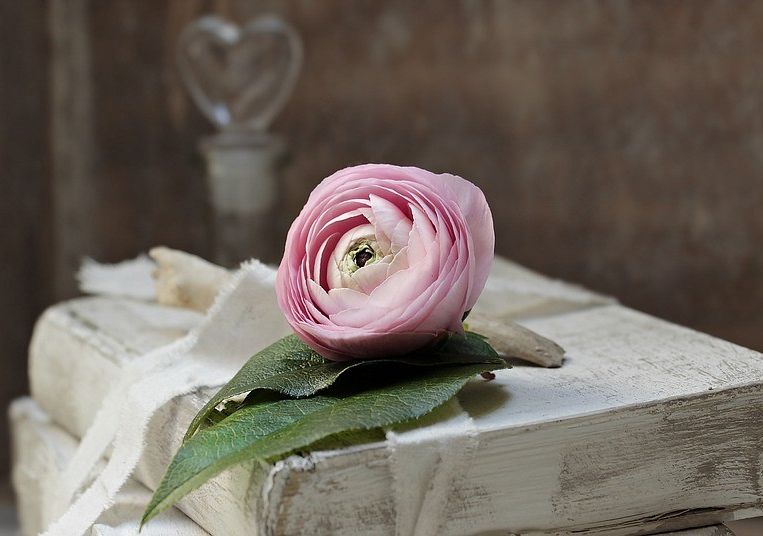 Współczesna literatura kobieca w edukacji