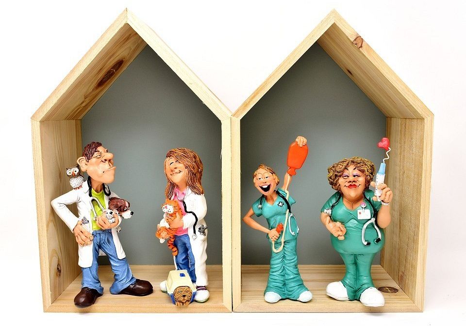 Kurs na dobry zawód - technik weterynarz (Słupsk)