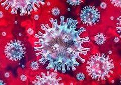 Informacja Fundacji Rozwoju Systemu Edukacji w związku z pandemią koronawirusa