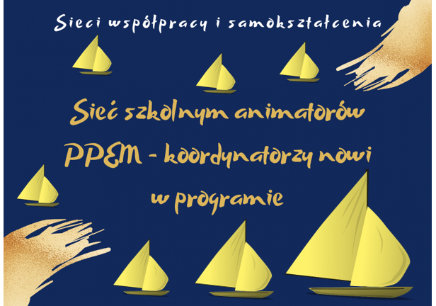 Sieć 31: Sieć szkolnym animatorów PPEM -