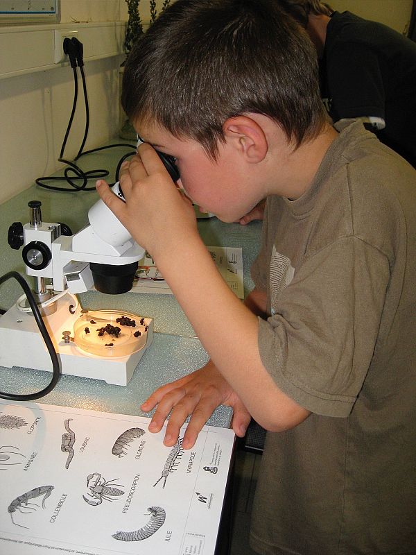 Zdalne nauczanie biologii w szkole podstawowej -