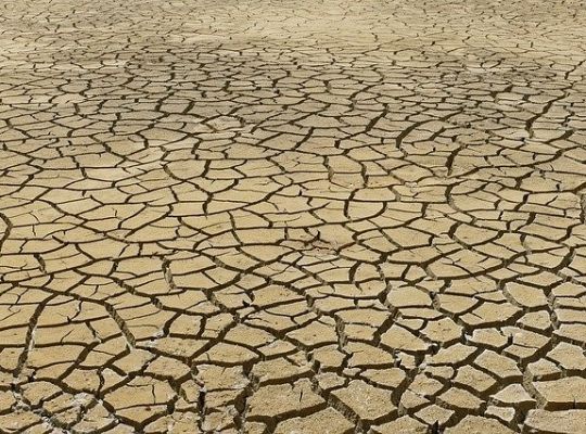 Przyjaciele klimatu - materiały edukacyjne