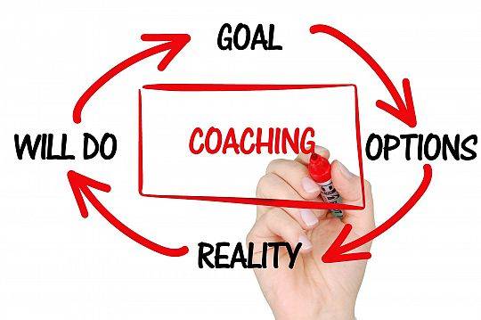 Coaching w doradztwie edukacyjno - zawodowym  (II