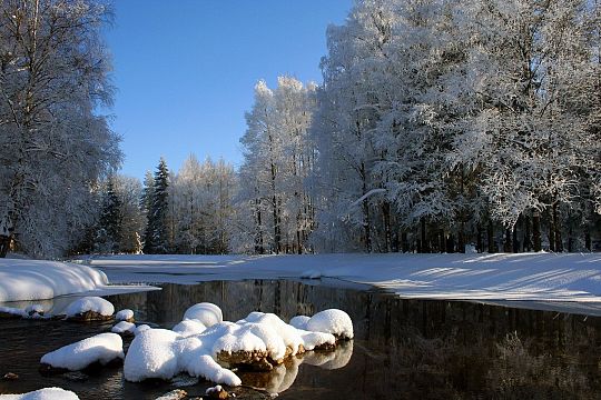 Kalendarz wydarzeń ODN - luty 2021