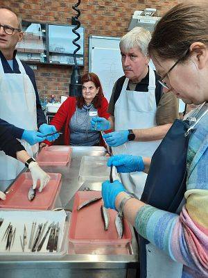 Relacje ze szkolenia dla nauczycieli szkół ponadpodstawowych w ramach projektu Bałtyk bez barier