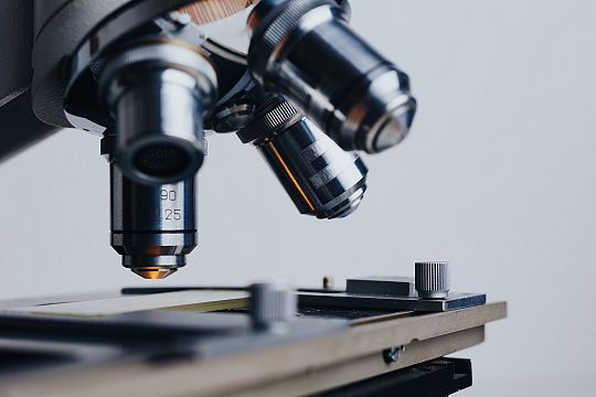 Biologia - Jak rozpoznać inwazyjne gatunki obce?