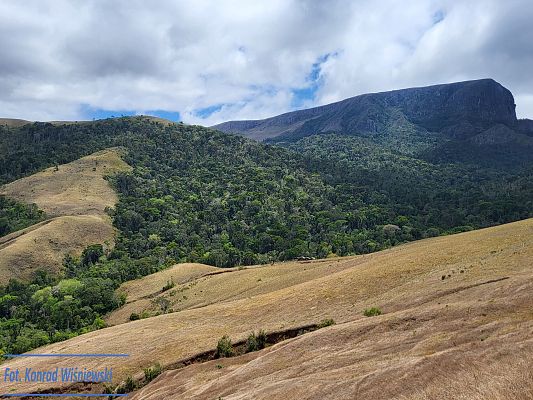 Wyprawa do Zaginionego Lasu Ivohiboro. Przyroda i
