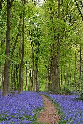 Poznajemy Kaszubski Park Krajobrazowy. Ochrona